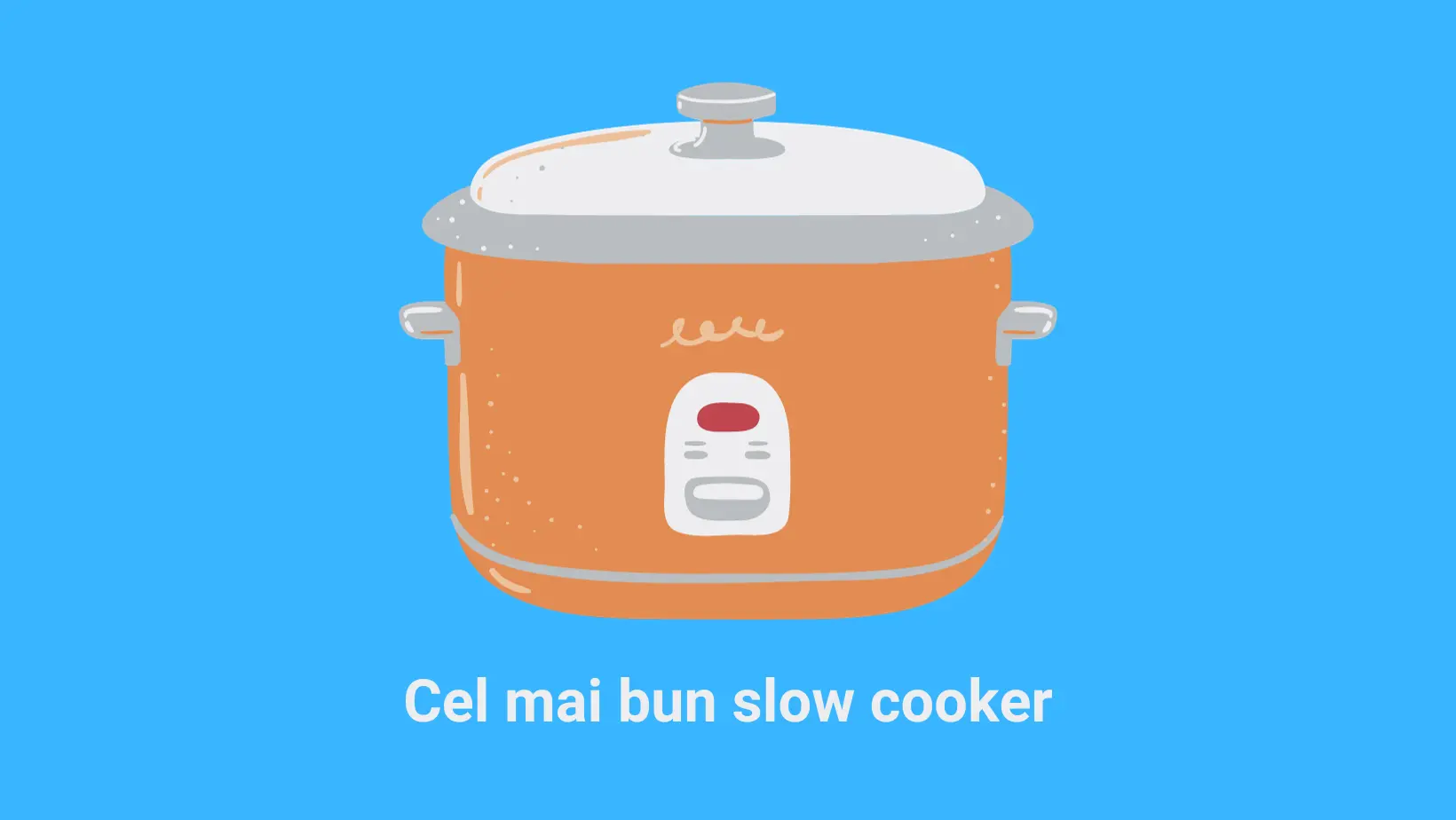 Cel mai bun slow cooker